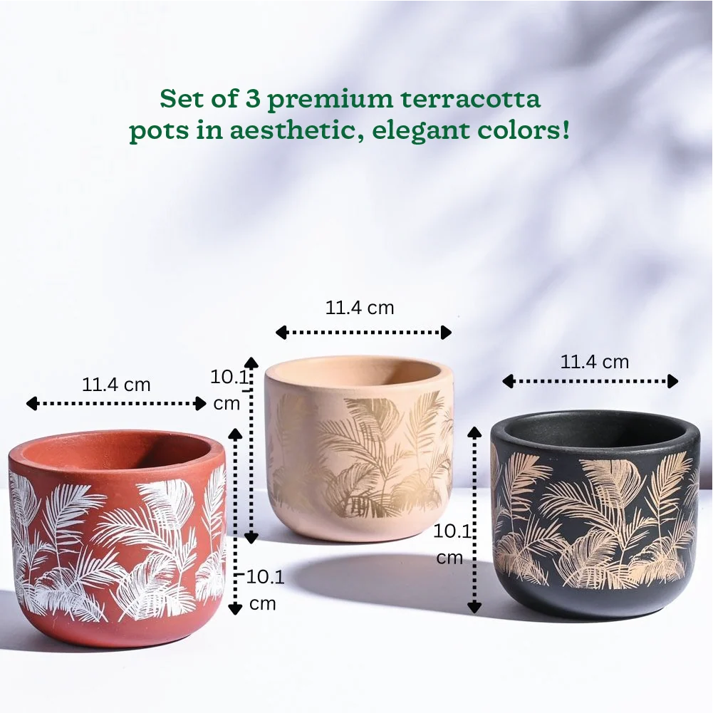 Ceramic Decorative Plant Pot Set – Modern Indoor Planter for Home & Office (Set of 3)