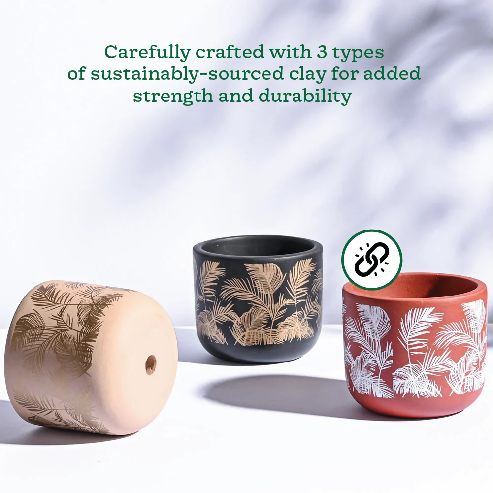 Ceramic Decorative Plant Pot Set – Modern Indoor Planter for Home & Office (Set of 3)