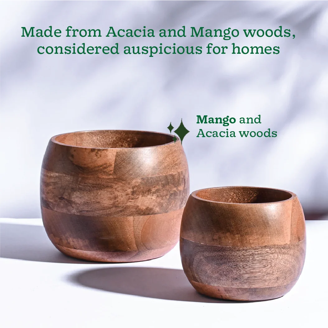 Wooden Decorative Planter Pot – Premium Indoor Flower Pot for Home & Office