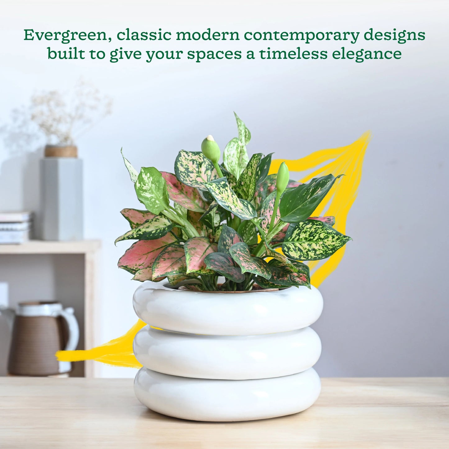 Modern White Ceramic Decorative Planter – Designer Indoor Flower Pot for Home & Office