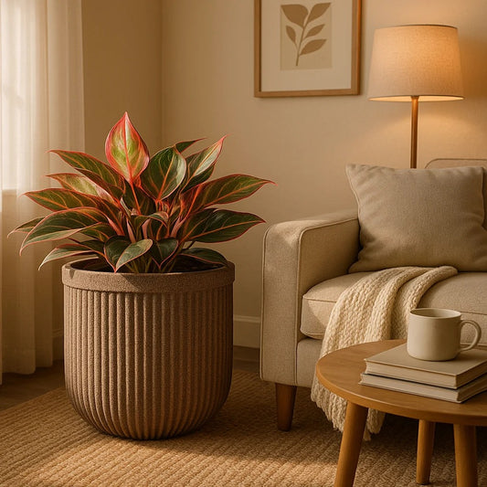 Large Ribbed Decorative Indoor Planter – Modern Flower Pot for Home & Office