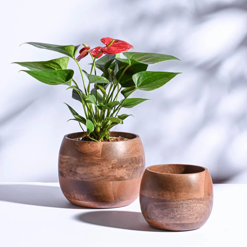 Wooden Decorative Planter Pot – Premium Indoor Flower Pot for Home & Office