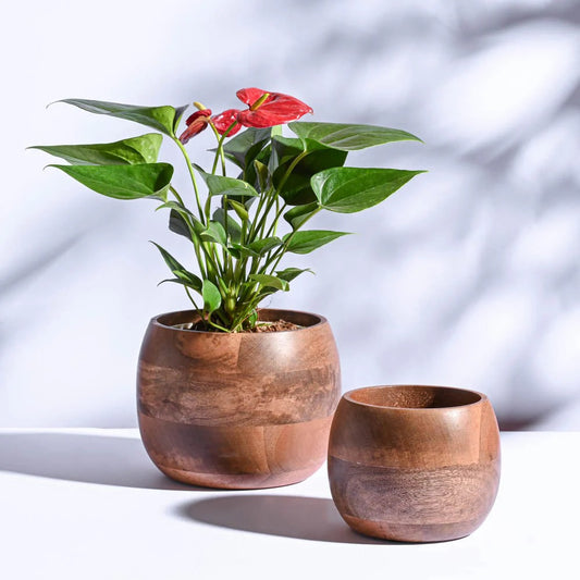Wooden Decorative Planter Pot – Premium Indoor Flower Pot for Home & Office