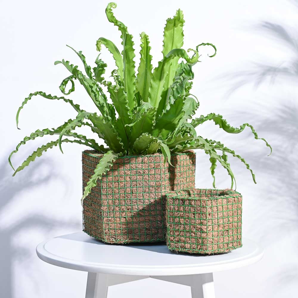 Set of 2 Natural Jute Rope Planter Baskets – Handmade Indoor Decorative Plant Pots