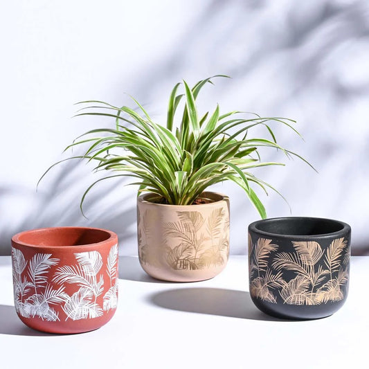 Ceramic Decorative Plant Pot Set – Modern Indoor Planter for Home & Office (Set of 3)