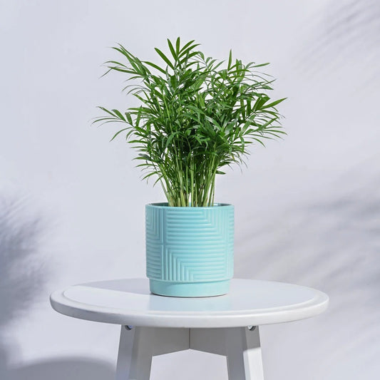 Modern Textured Ceramic Planter Pot – Decorative Indoor Flower Pot for Home & Office
