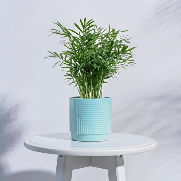 Modern Textured Ceramic Planter Pot – Decorative Indoor Flower Pot for Home & Office