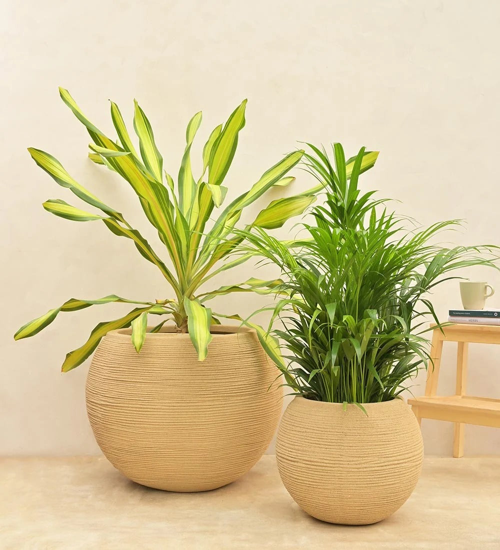 Set of 2 Modern Ribbed Decorative Planters – Large Indoor Flower Pots for Home & Garden