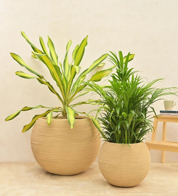Set of 2 Modern Ribbed Decorative Planters – Large Indoor Flower Pots for Home & Garden