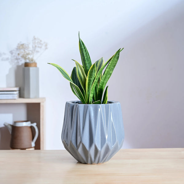 Modern Geometric Ceramic Planter Pot – Decorative Indoor Flower Pot for Home & Office